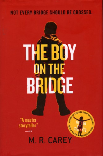 The boy on the bridge